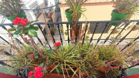 Apartment for sale in Estepona