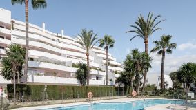 Appartement rez de chaussée for sale in Jardines de Andalucia, Nueva Andalucia