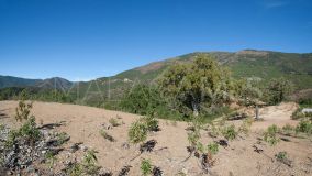 Tomt for sale in La Zagaleta, Benahavis