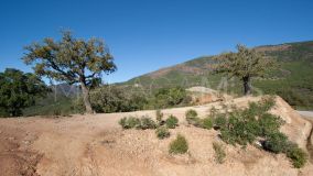 Tomt for sale in La Zagaleta, Benahavis