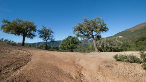 Tomt for sale in La Zagaleta, Benahavis