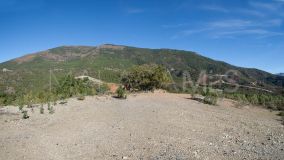 Tomt for sale in La Zagaleta, Benahavis