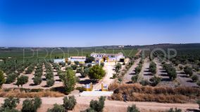 For sale cortijo with 8 bedrooms in Antequera