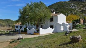 For sale cortijo in Antequera with 33 bedrooms