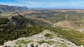 Bauernhaus zu verkaufen in Antequera