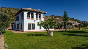 Buy estate in Granada