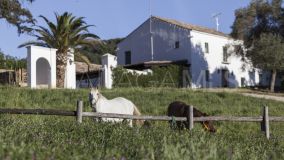 Ferme for sale in Gaucin
