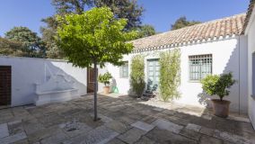 Ferme for sale in Gaucin