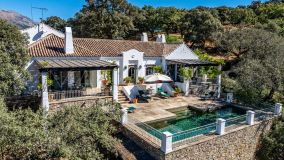 Ferme for sale in Gaucin