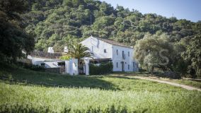 Ferme for sale in Gaucin