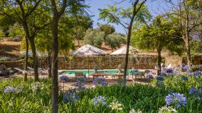 Cortijo en venta en Gaucin