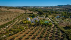 Cortijo for sale in Ronda
