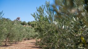 Bauernhaus zu verkaufen in Ronda