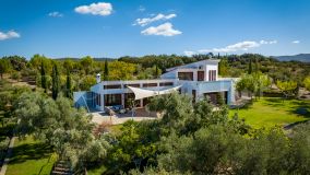 Villa andaluza moderna con olivar