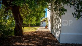 For sale Gaucin 8 bedrooms cortijo