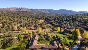 For sale Ronda cortijo with 5 bedrooms
