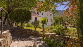 Country House for sale in Gaucin