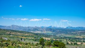 Cortijo for sale in Ronda