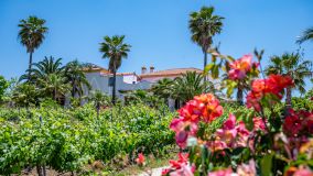 Country House for sale in Ronda