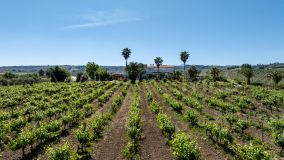 Country House for sale in Ronda