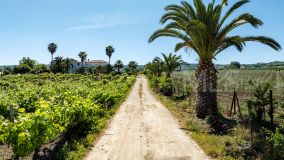 Country House for sale in Ronda