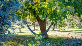 Finca for sale in Almogia