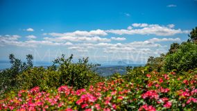 Maison de campagne for sale in Casares