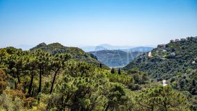 Landhaus zu verkaufen in Casares