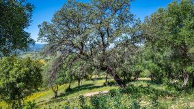 Maison de campagne for sale in Gaucin