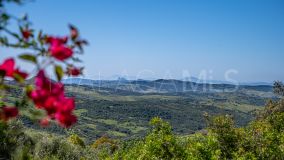 Maison de campagne for sale in Gaucin