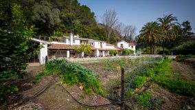 Cortijo for sale in Gaucin