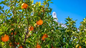 Country House for sale in Villanueva de la Concepción