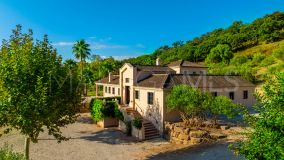 Country House for sale in Gaucin