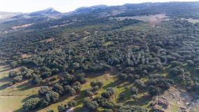 Grundstück zu verkaufen in Ronda