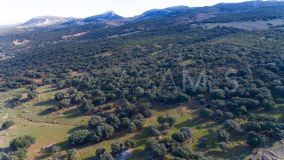 Grundstück zu verkaufen in Ronda