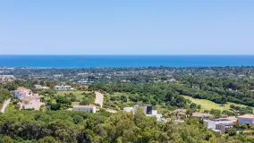 Plot for sale in Zona M