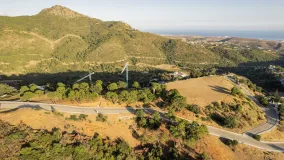 Monte Mayor, parcela a la venta