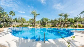 Ground floor apartment for sale in Medina de Banús with 2 bedrooms