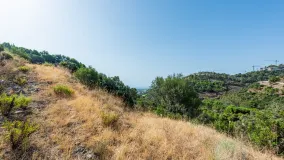 El Madroñal, parcela a la venta