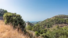 El Madroñal, parcela a la venta