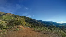Parcela a la venta en La Zagaleta