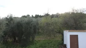 Se vende casa en Algodonales