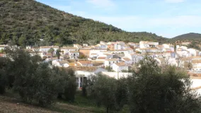 Se vende casa en Algodonales
