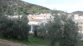 Se vende casa en Algodonales