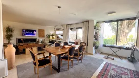 Buy Seghers duplex