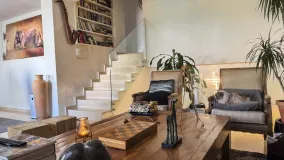 Buy Seghers duplex