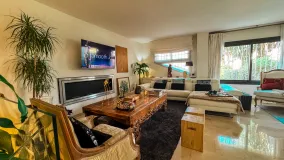 Buy Seghers duplex