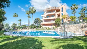 For sale Magna Marbella ground floor apartment with 3 bedrooms
