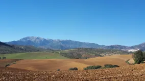 Parcela a la venta en Coin
