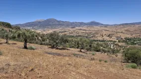 Parcela a la venta en Coin